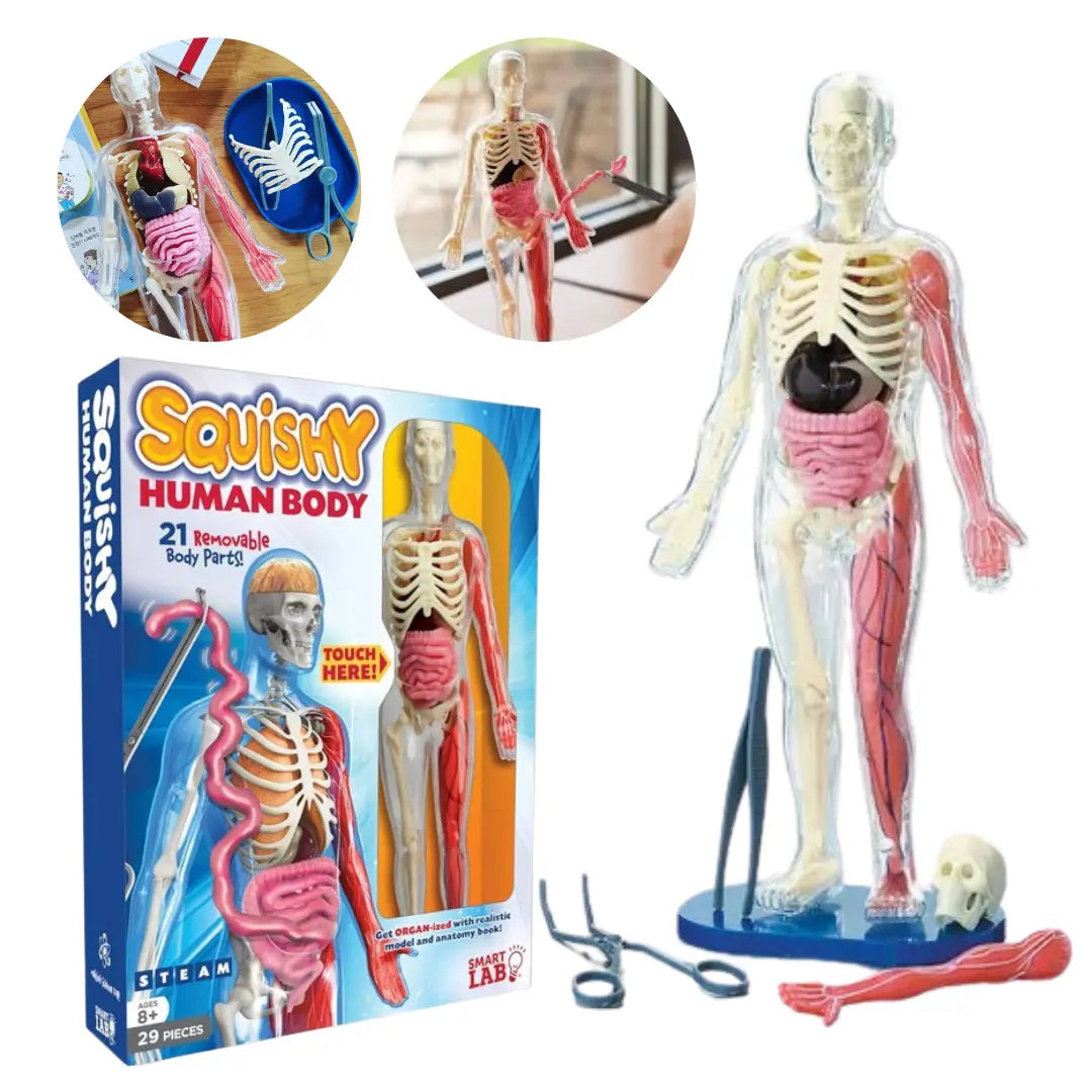 gid://shopify/MediaImage/33283814981878