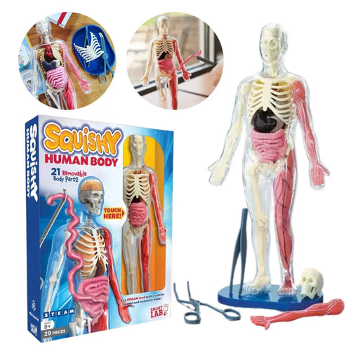 gid://shopify/MediaImage/33283814981878